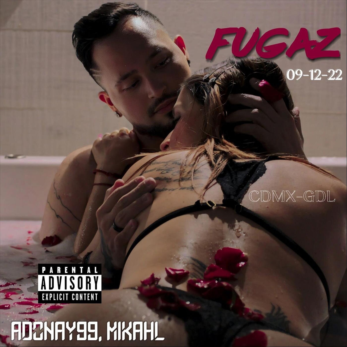 Album cover of Fugaz