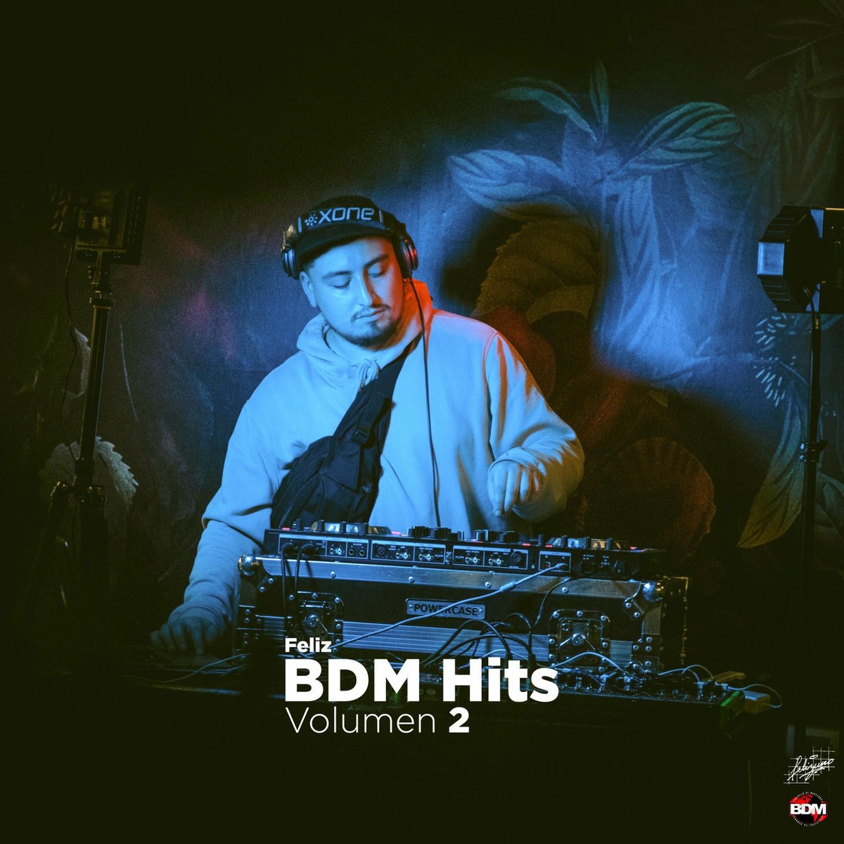 Album cover of BDM Hits, Vol. 2