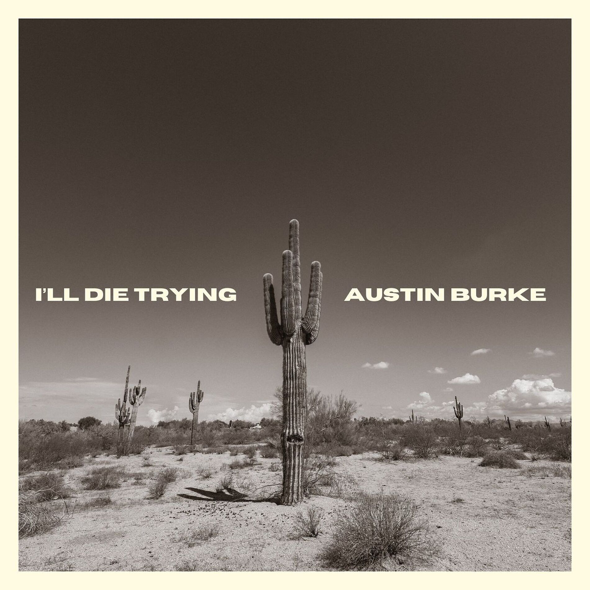 Album cover of I'll Die Trying