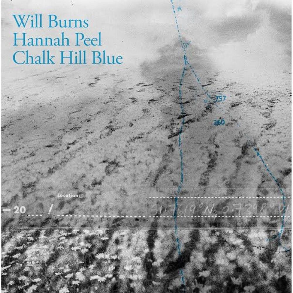 Picture of Chalk Hill Blue