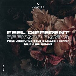 Cover of Feel Different