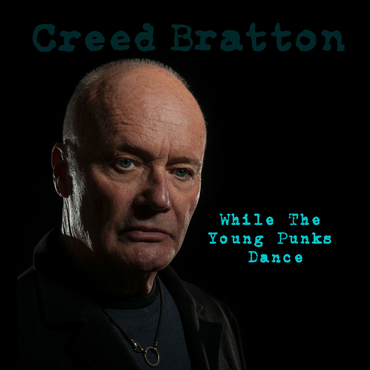 Album cover of While the Young Punks Dance