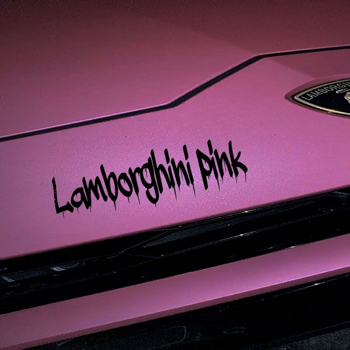 Album cover of Lamborghini Pink