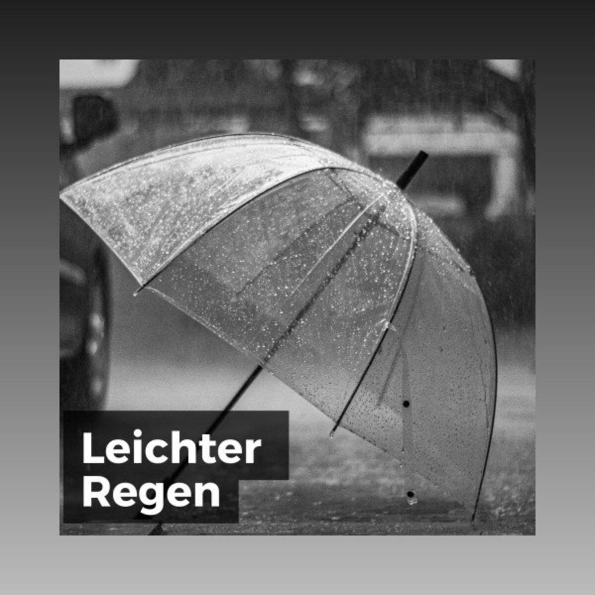 Album cover of Schutz vor dem Regen