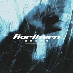 Cover of Drown