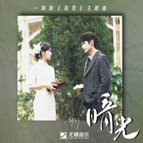 暗光(网剧《招惹》主题曲）