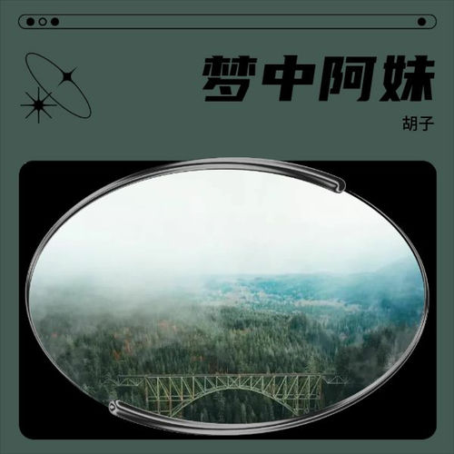 胡子同名专辑