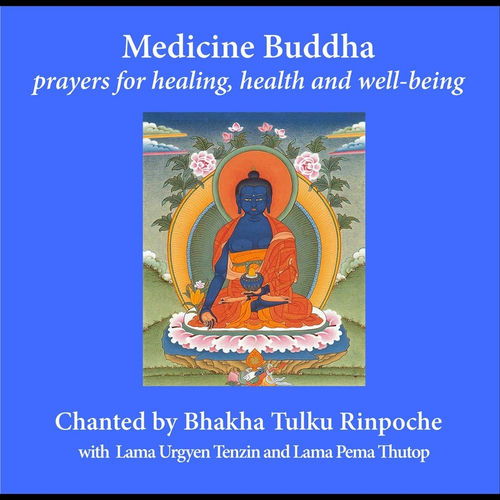 The Buddha Book: Buddhas%ｶﾝﾏ% Blessings%ｶﾝﾏ% Prayers%ｶﾝﾏ% and Rituals to Grant You Love%ｶﾝﾏ% Wisdom%ｶﾝﾏ% and Healing The Buddha Book: Buddhas, Blessings, Prayers, And Rituals To