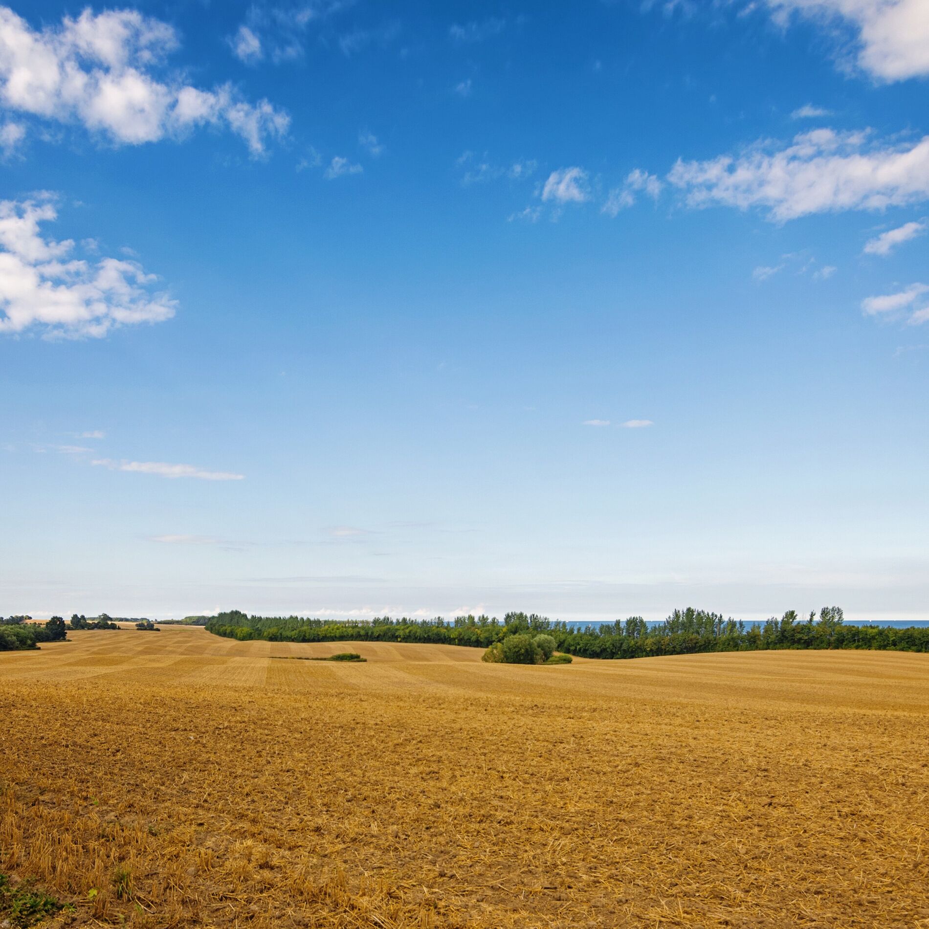 Album cover of 60 Relaxing Music Collection