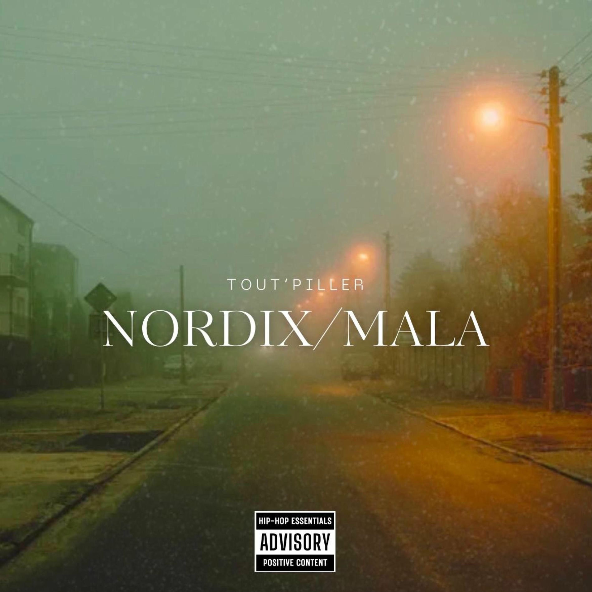 Album cover of Tout'piller (feat. Mala)