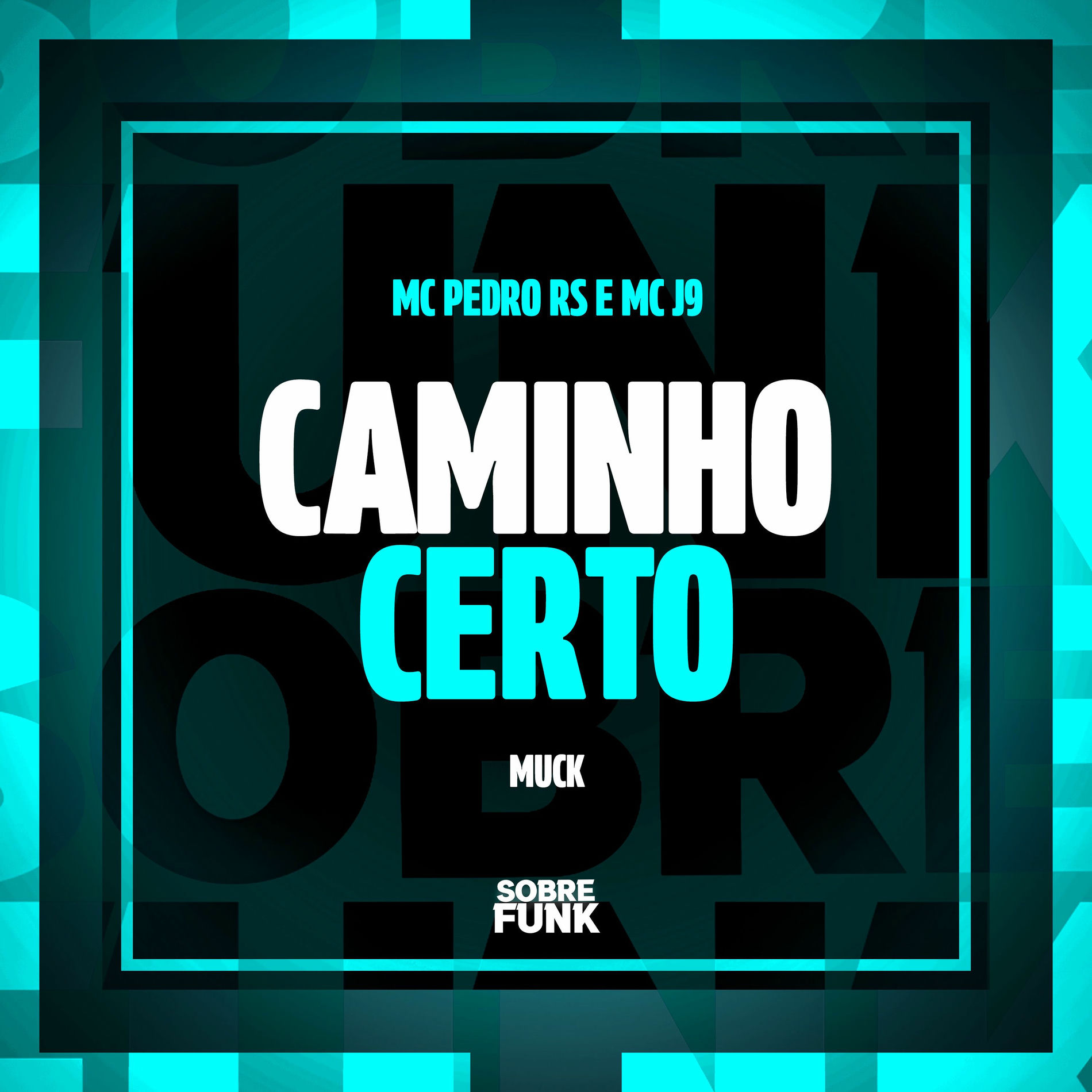 Album cover of Caminho Certo