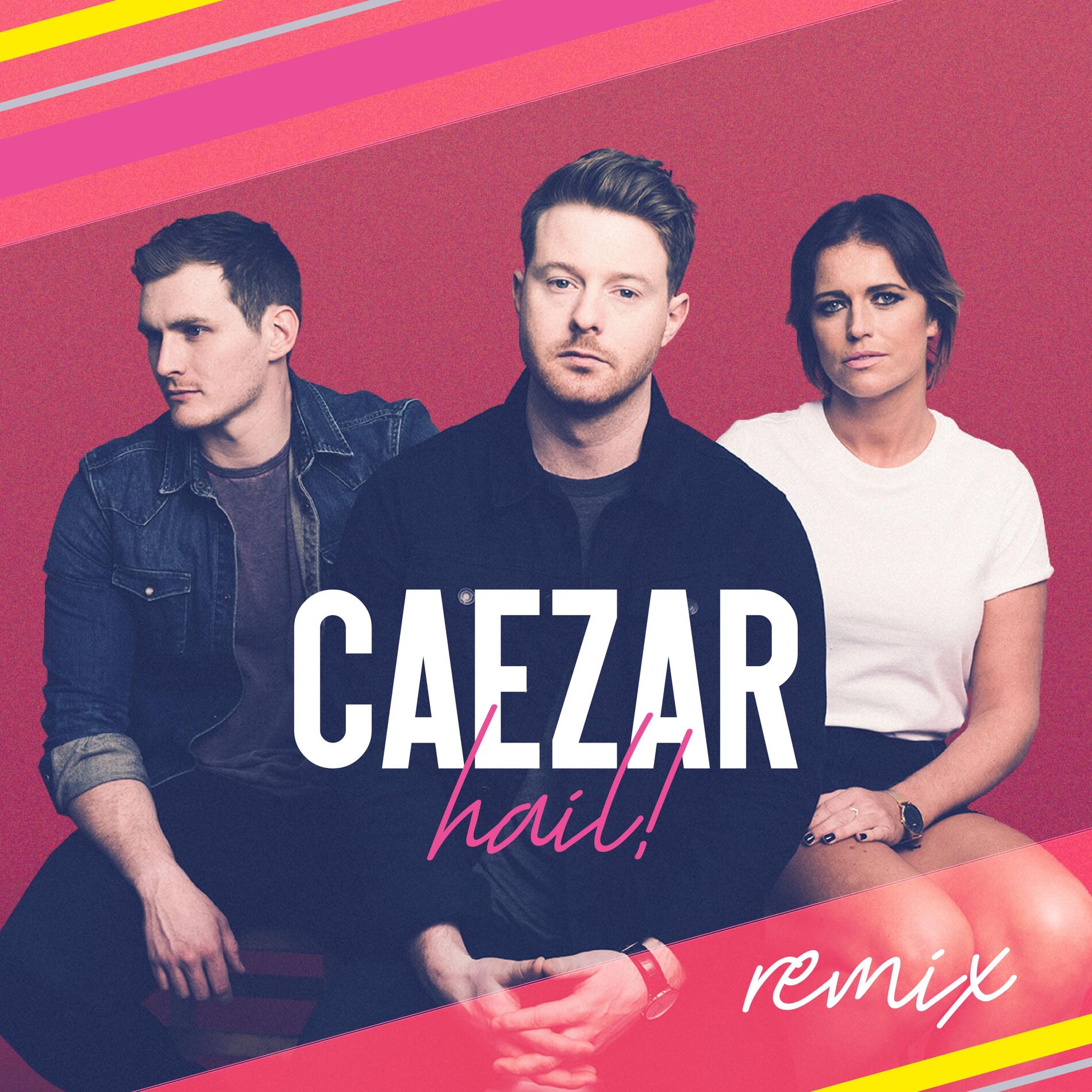 Album cover of Hail! the Remixes