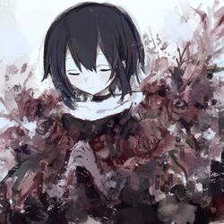 Cover of Stasis