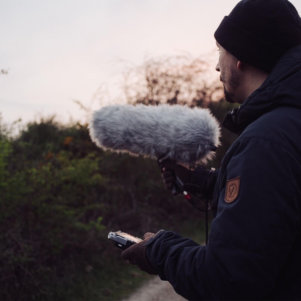 Picture of Soundscapes: Birdsong
