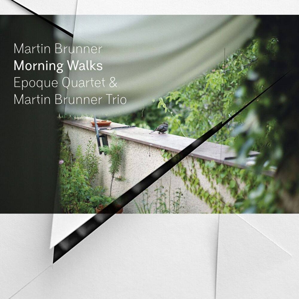 Picture of Morning Walks