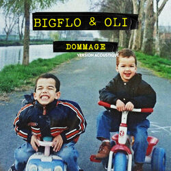 Cover of Dommage (Acoustic)
