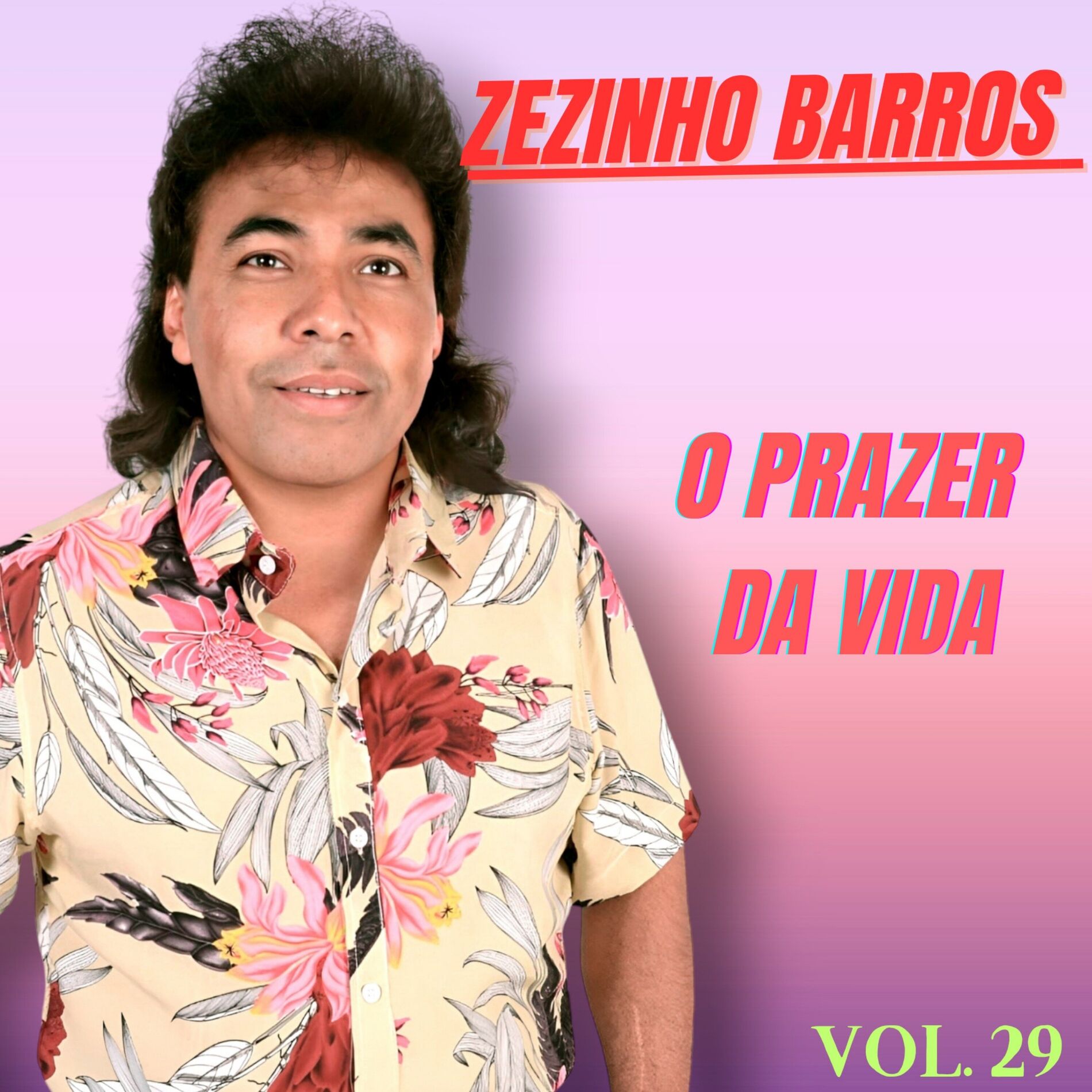 Album cover of O Prazer da Vida