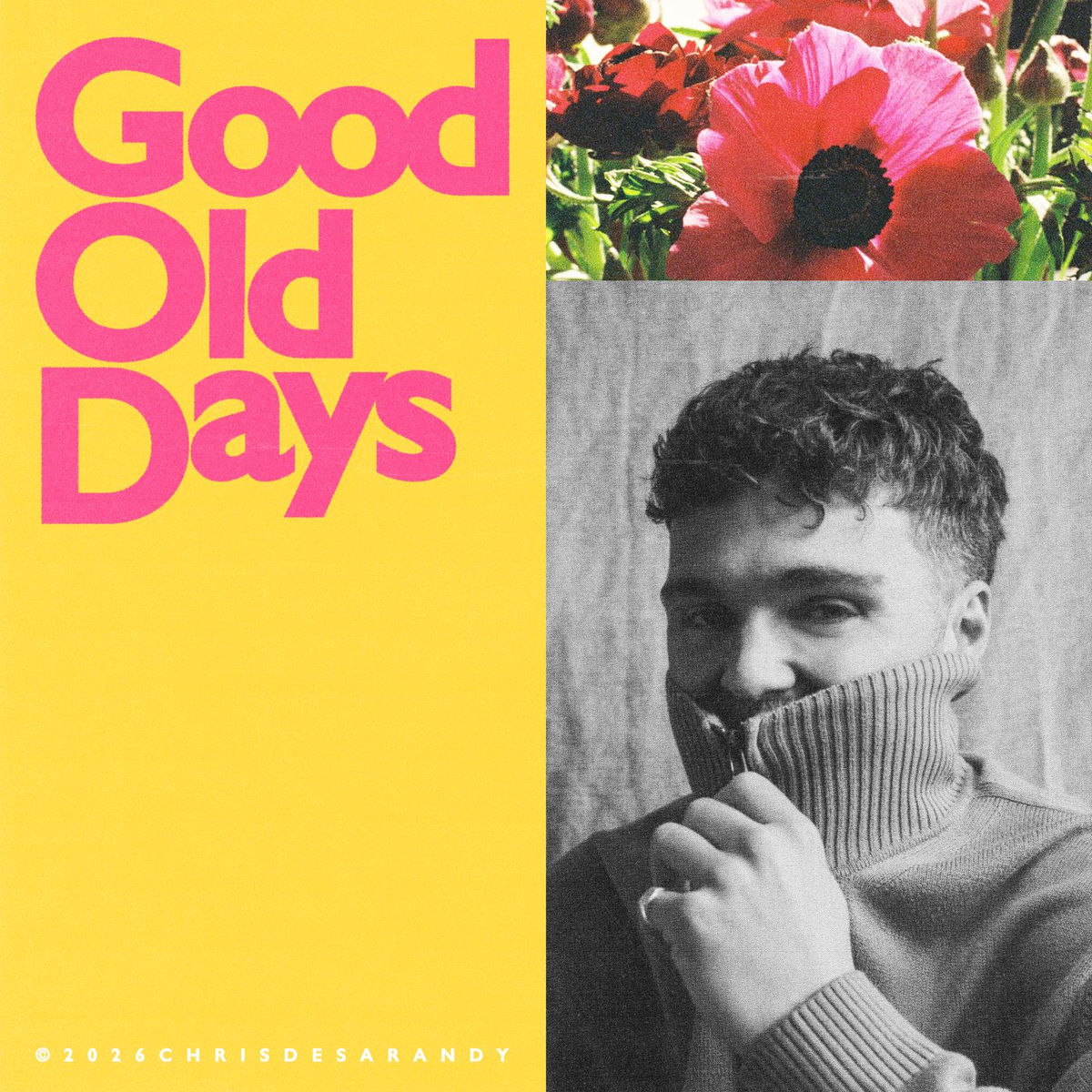 Album cover of Good Old Days
