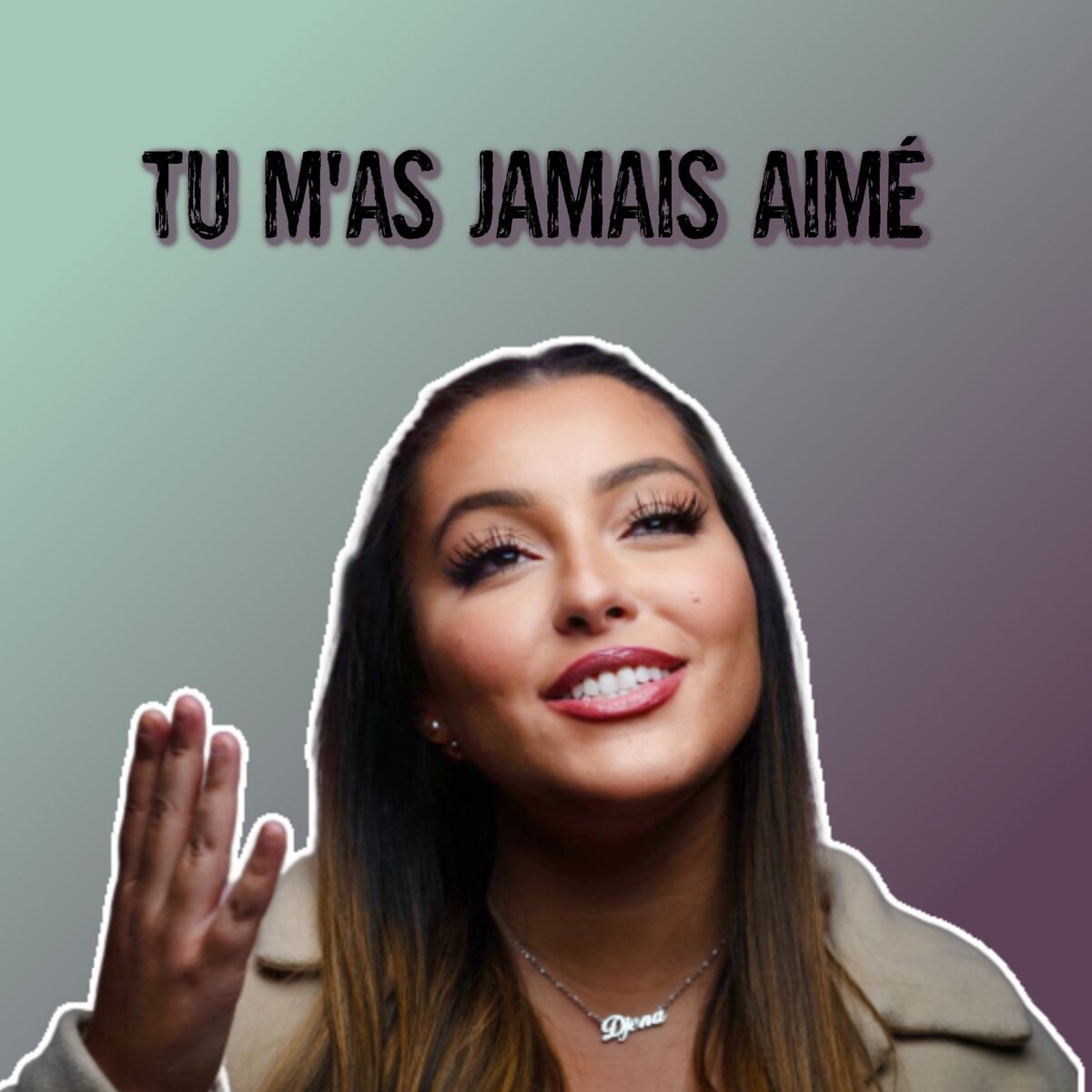Album cover of Tu m'as jamais aimé