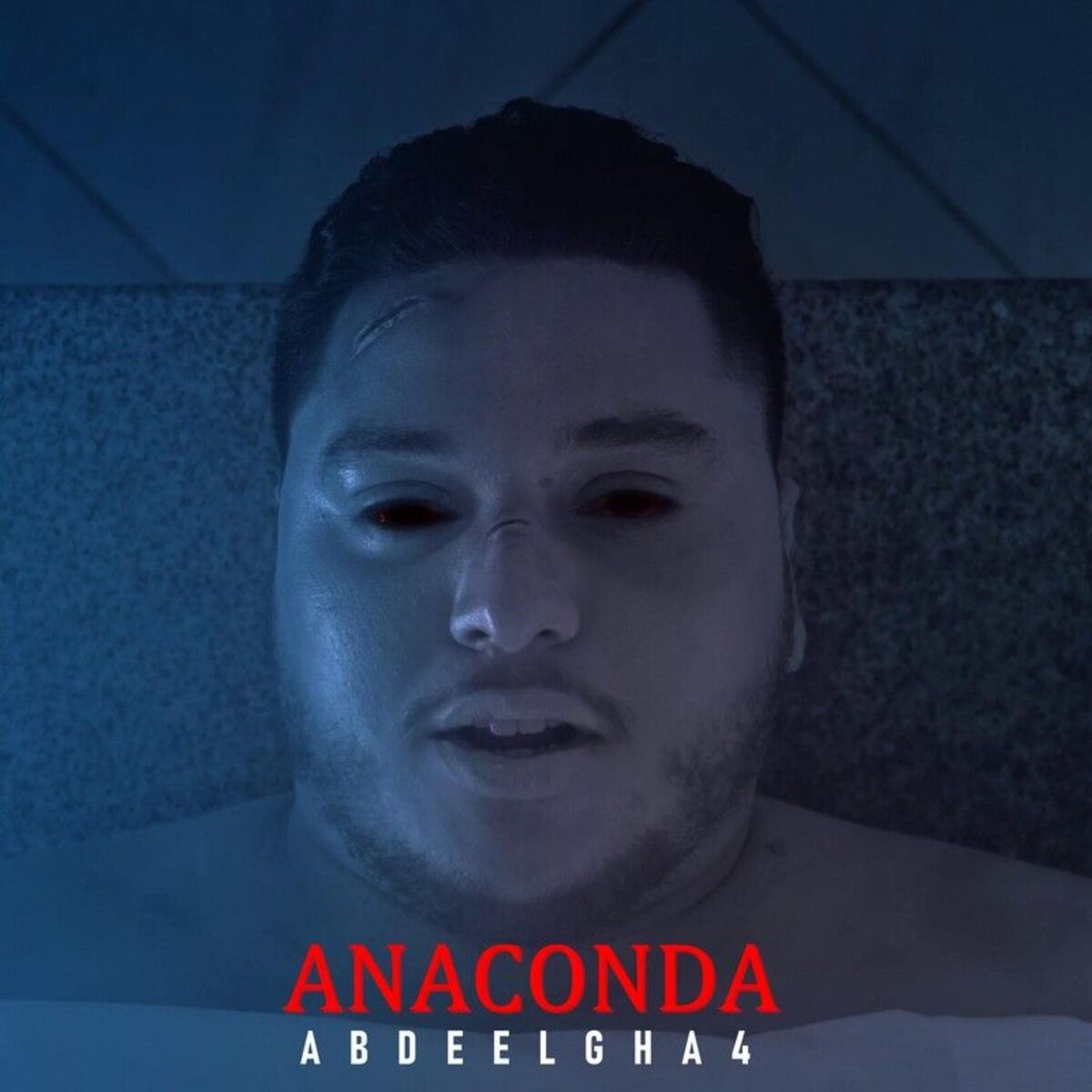 Album cover of Anaconda