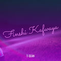 Finshi Kafwaya