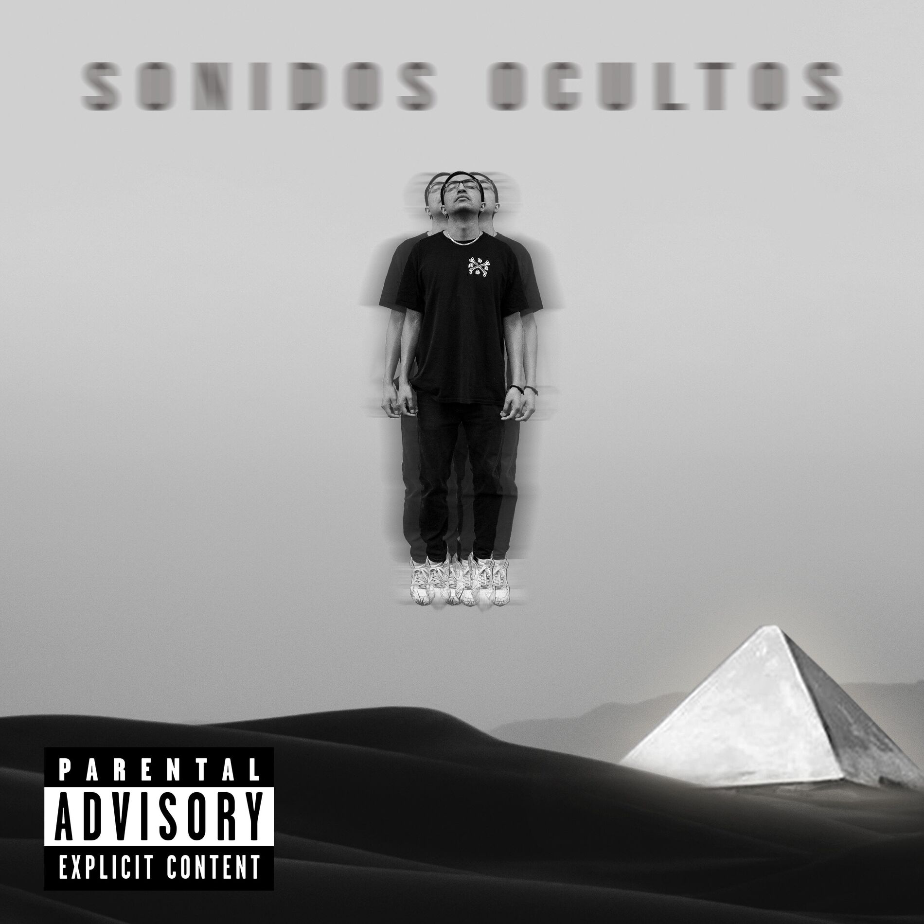 Album cover of Sonidos Ocultos