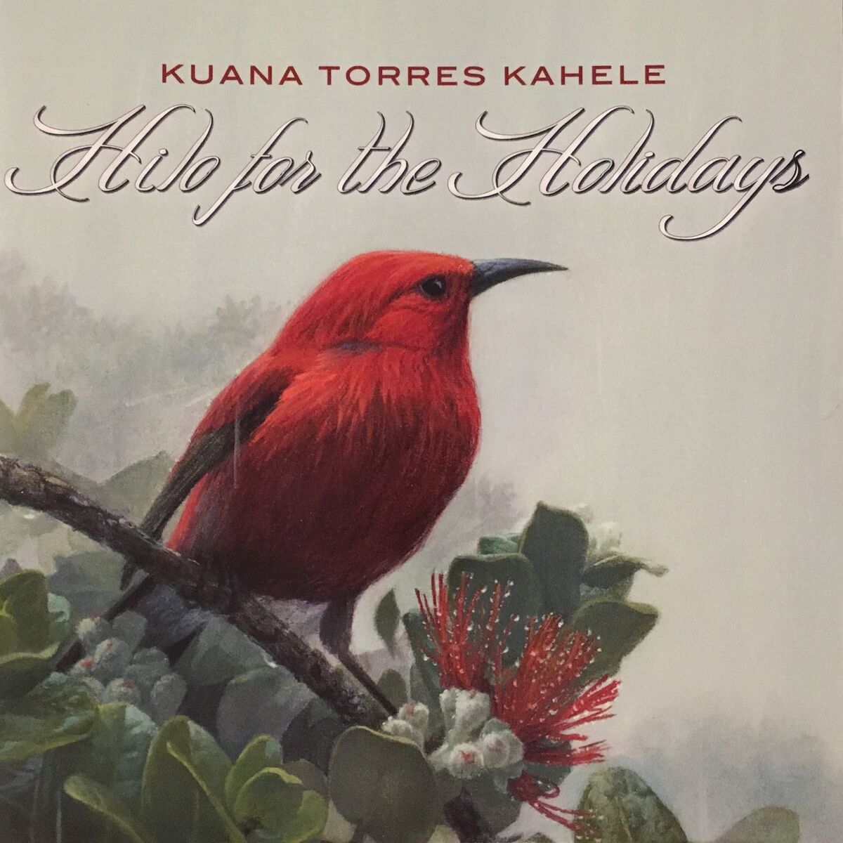 Album cover of Hilo for the Holidays