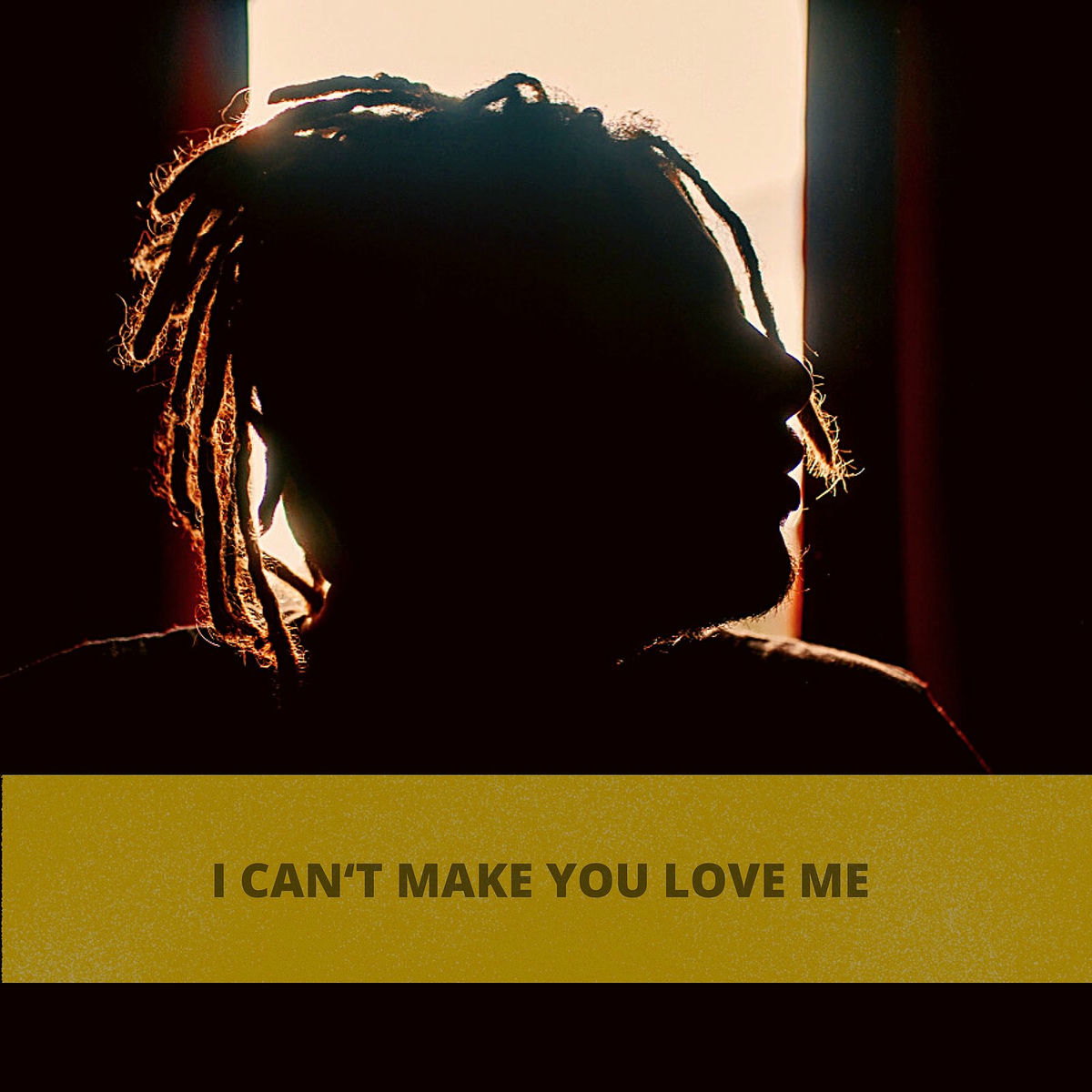Album cover of I Can't Make You Love Me