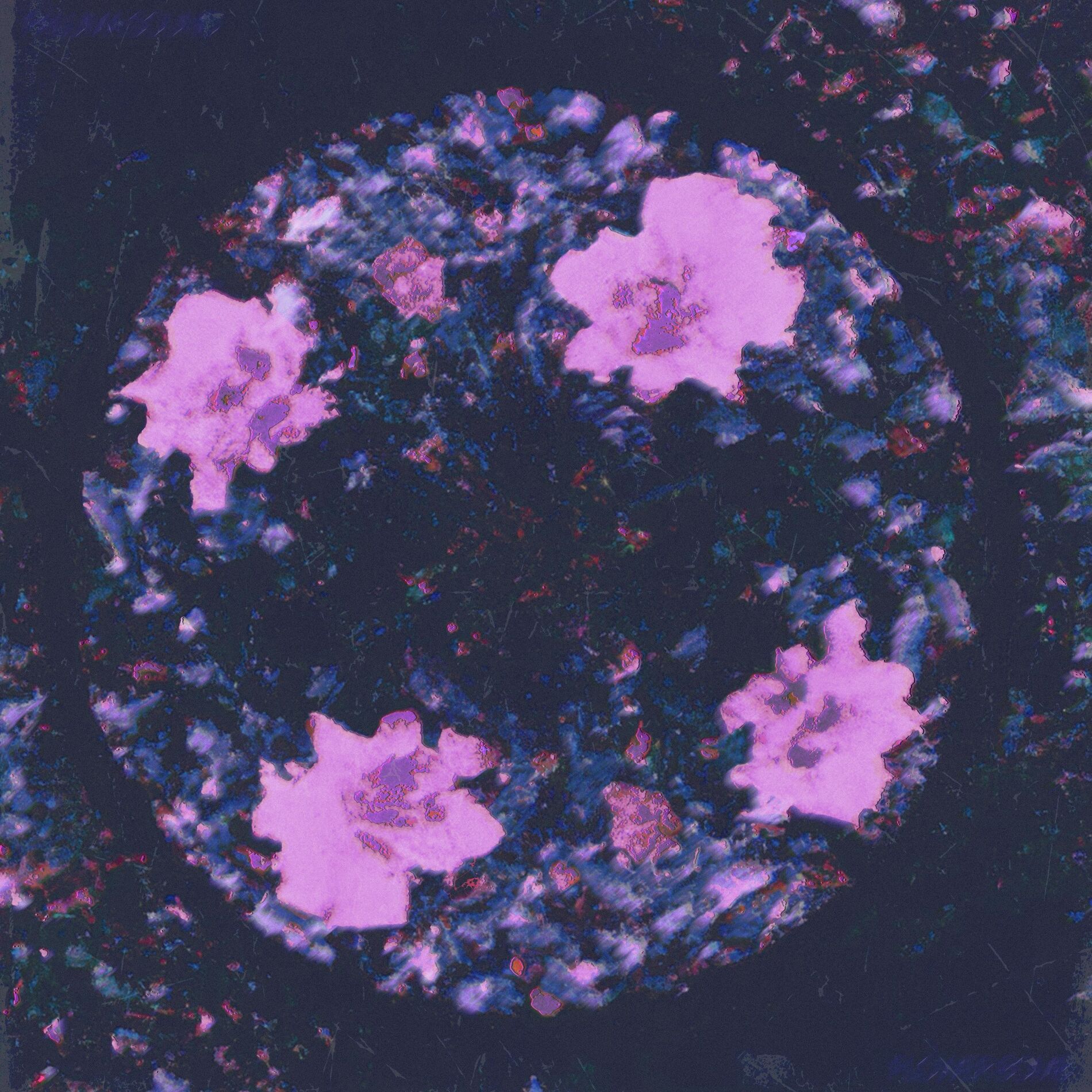 Album cover of Flowerbomb