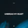 Unbreak My Heart