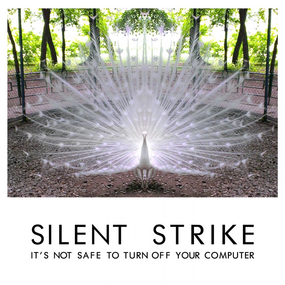 Picture of It's Not Safe to Turn off Your Computer