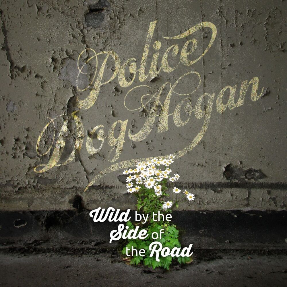 Picture of Wild By the Side of the Road