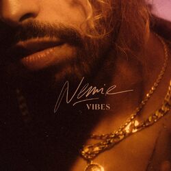 Cover of Vibes