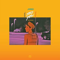 Cover of So Many Details
