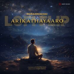 Cover of Arikathayaaro (Lofi Flip)