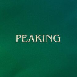 Cover of PEAKING