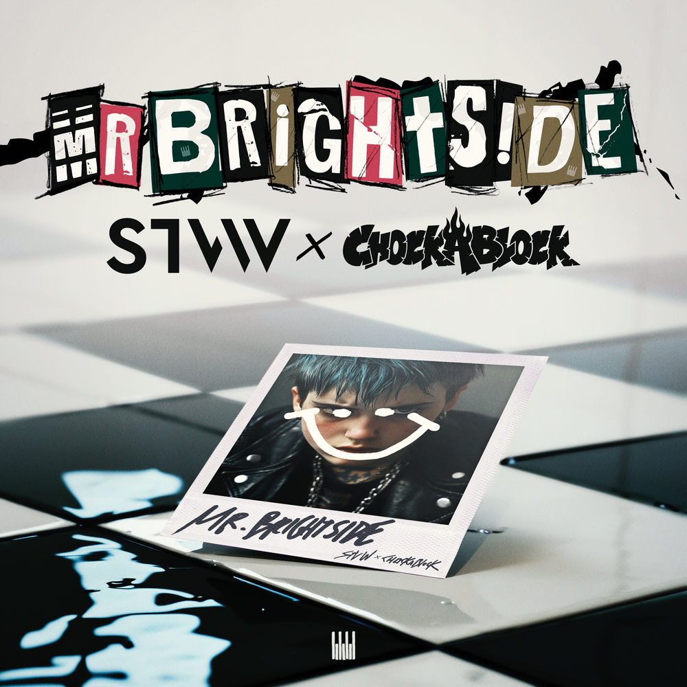 Mr. Brightside cover
