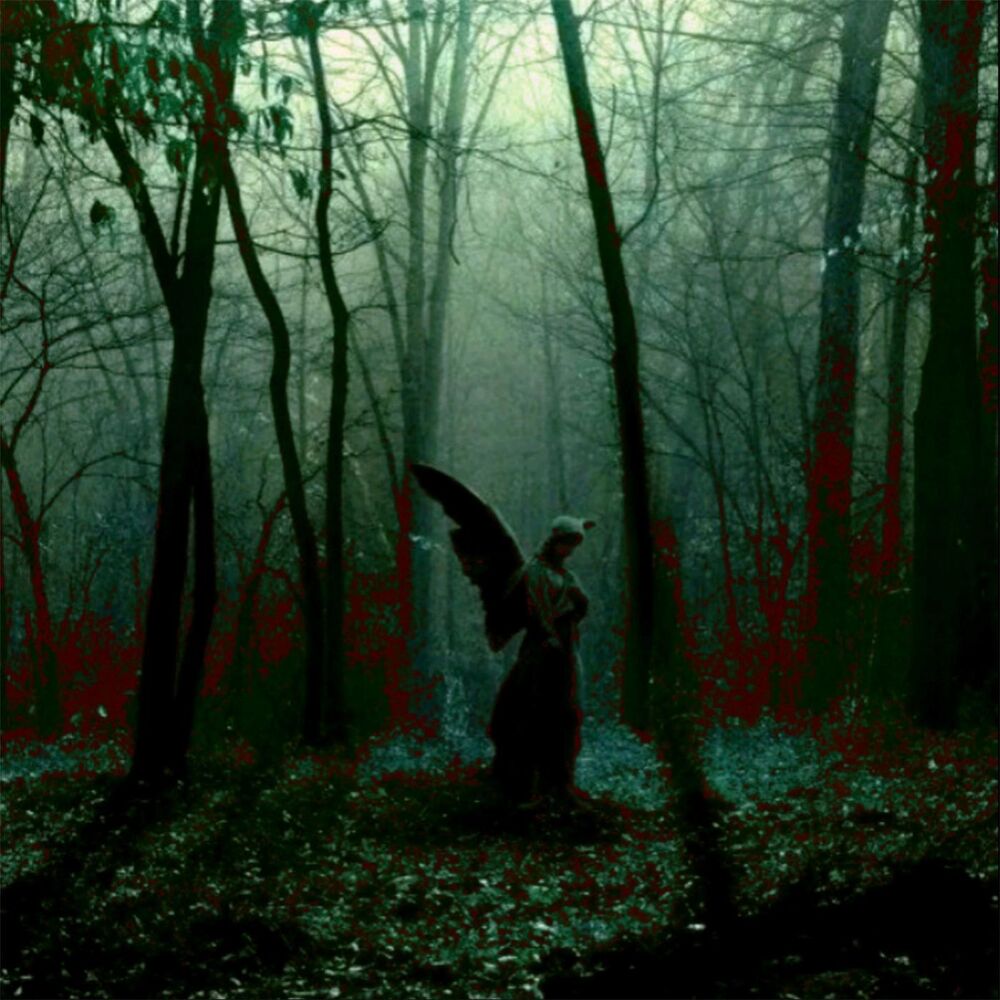 Picture of In the Shadows