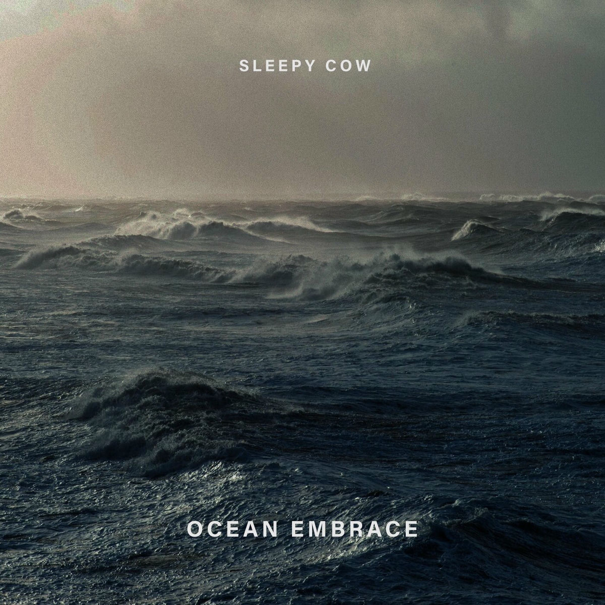 Album cover of Ocean Embrace