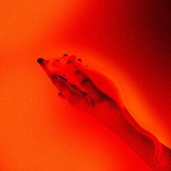 Cover of Como Arde