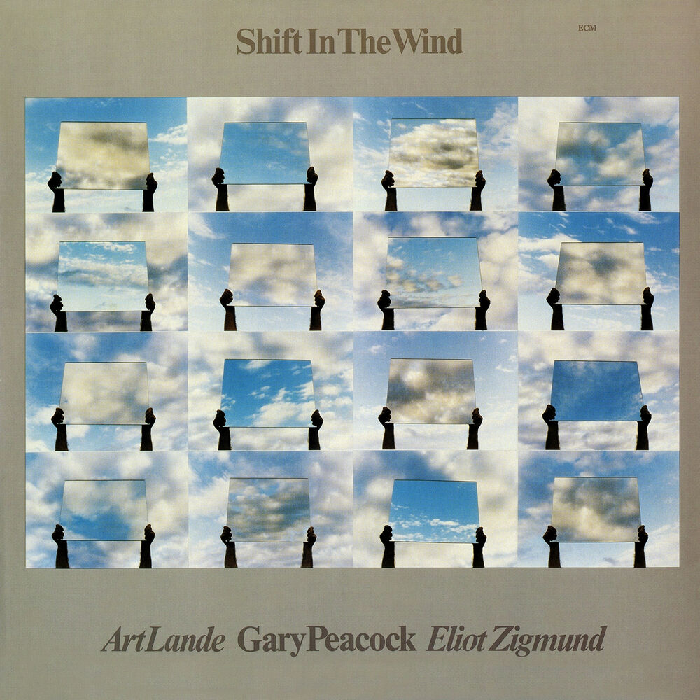 Picture of Shift In The Wind