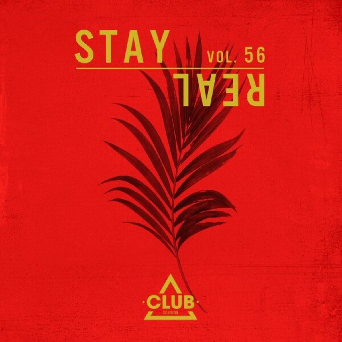 Album cover of Stay Real, Vol. 56