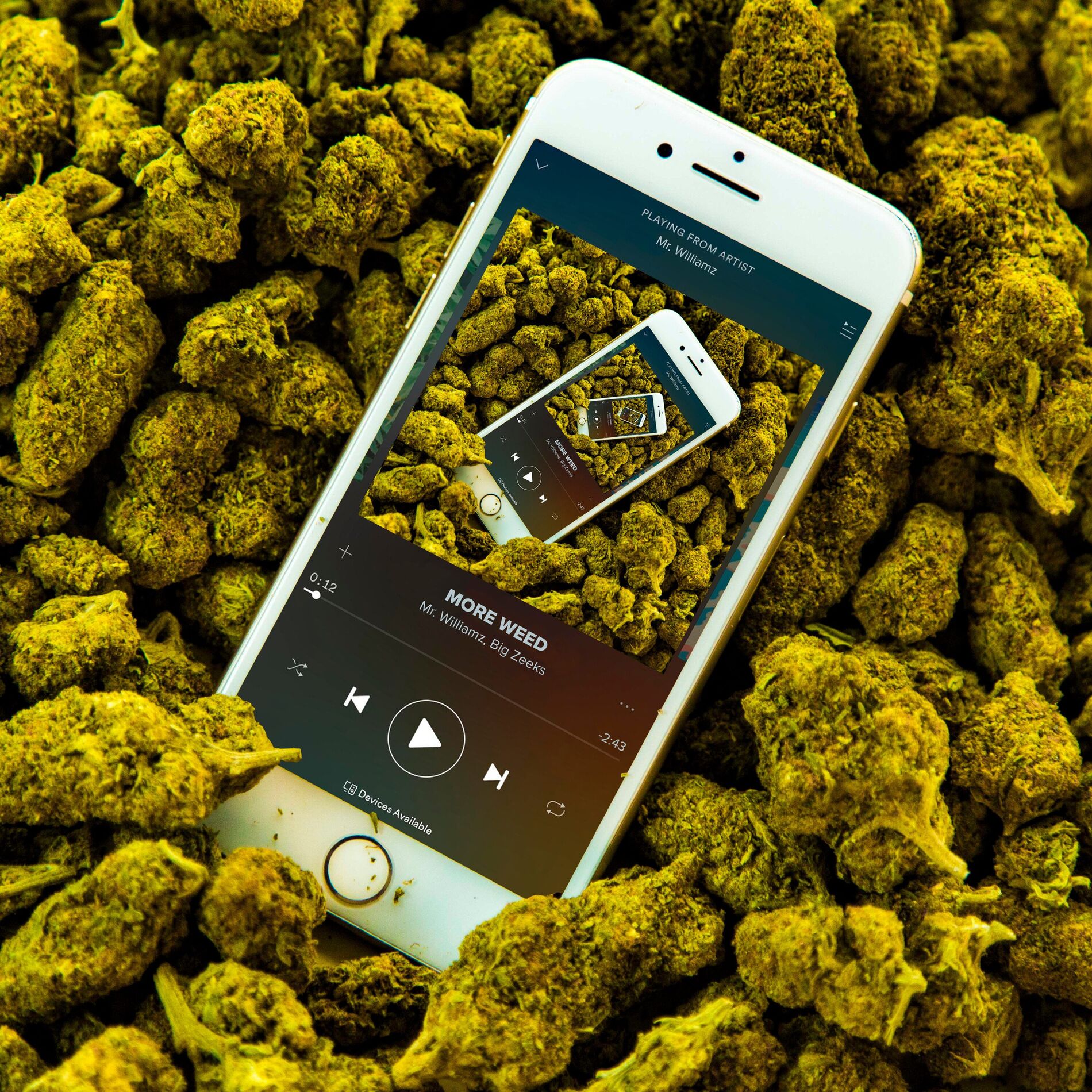 Album cover of More Weed