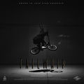 Tailwhip