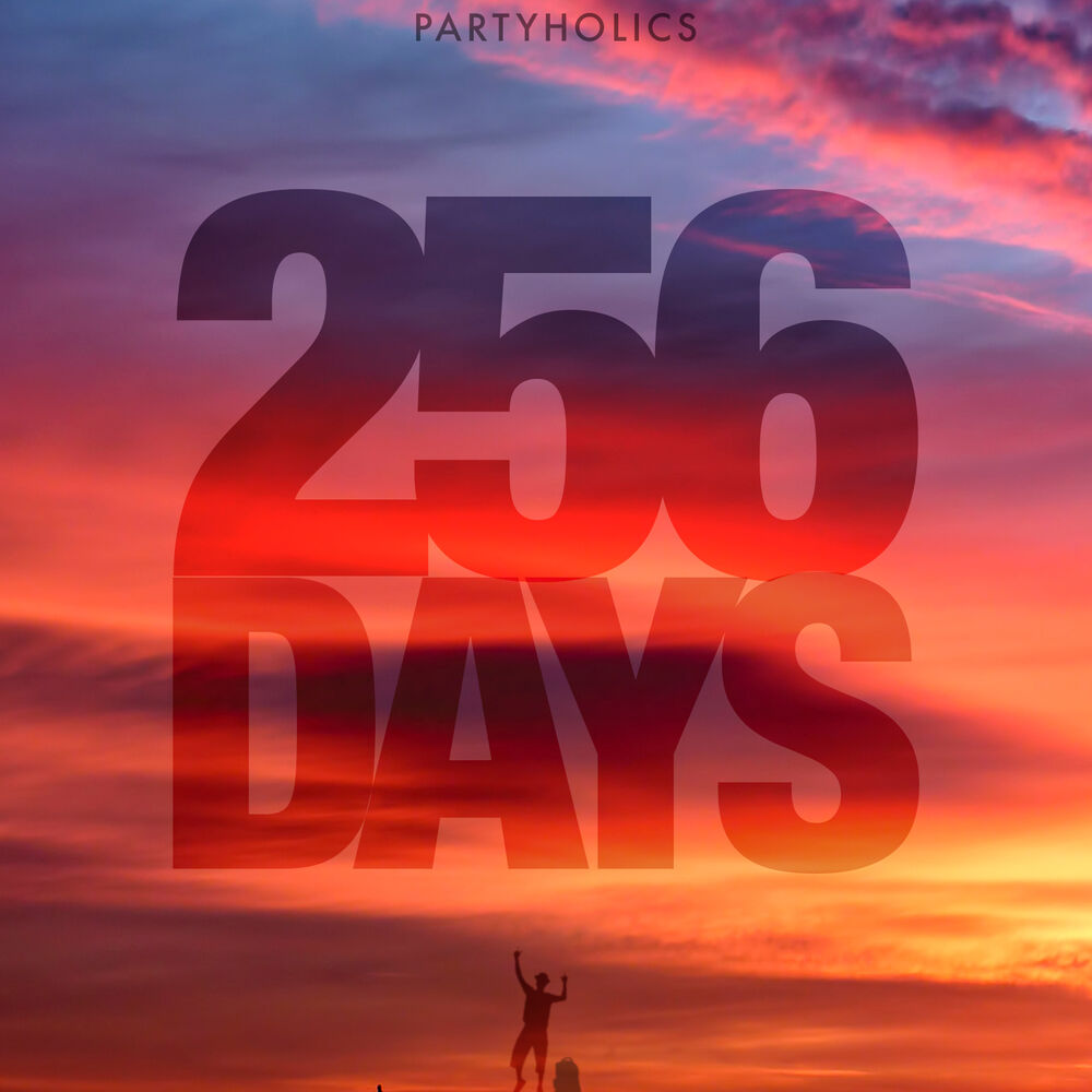 Picture of 256 Days