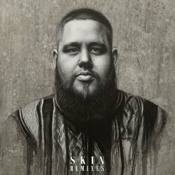 Cover of Skin
