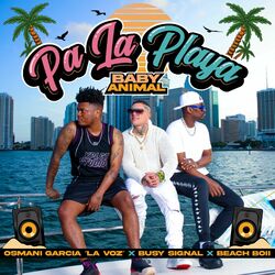 Cover of Pa La Playa Baby Animal