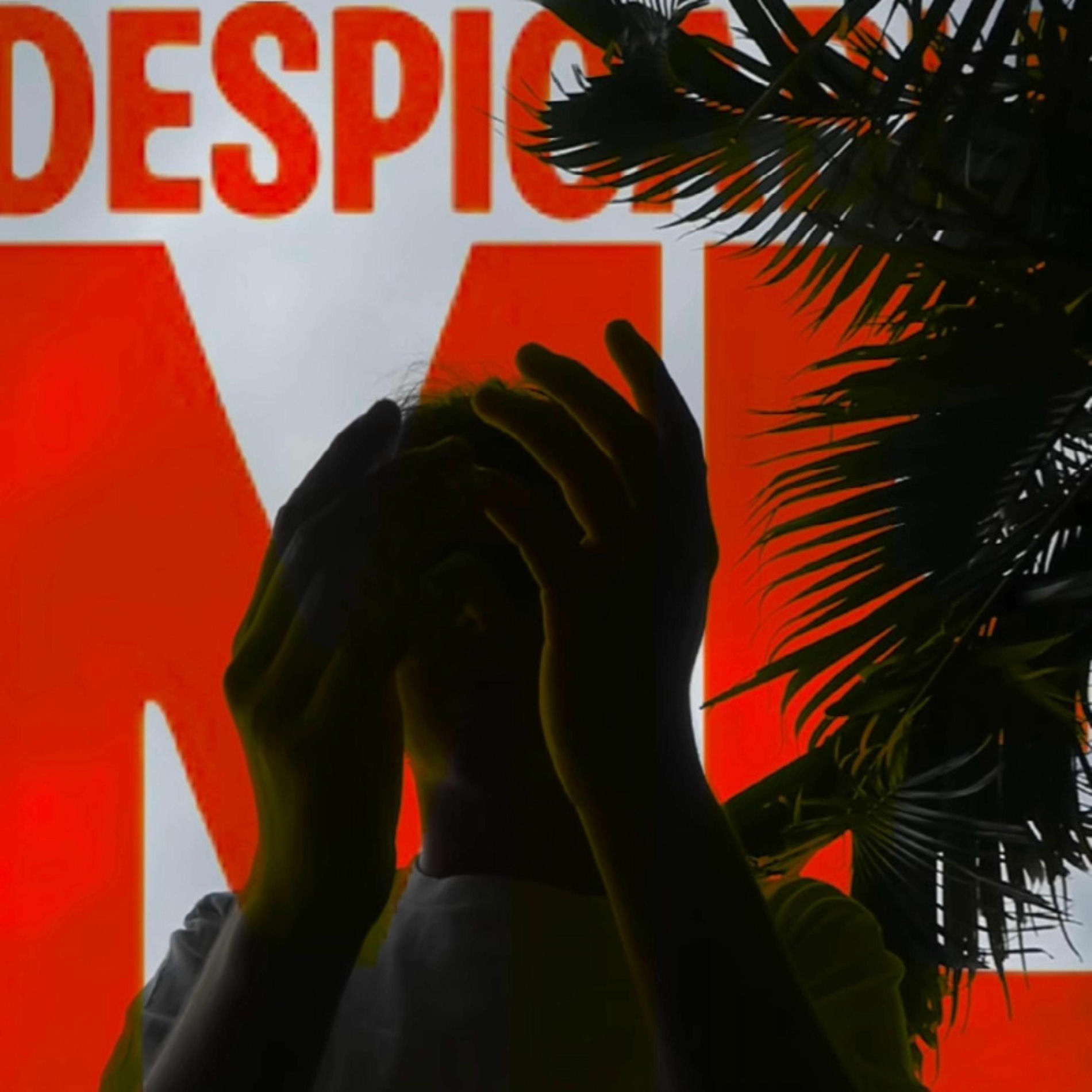 Album cover of Despicable Me