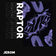 Raptor by DJ Jerom album cover