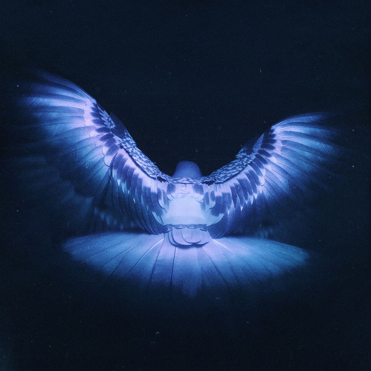 Album cover of Lucky Me